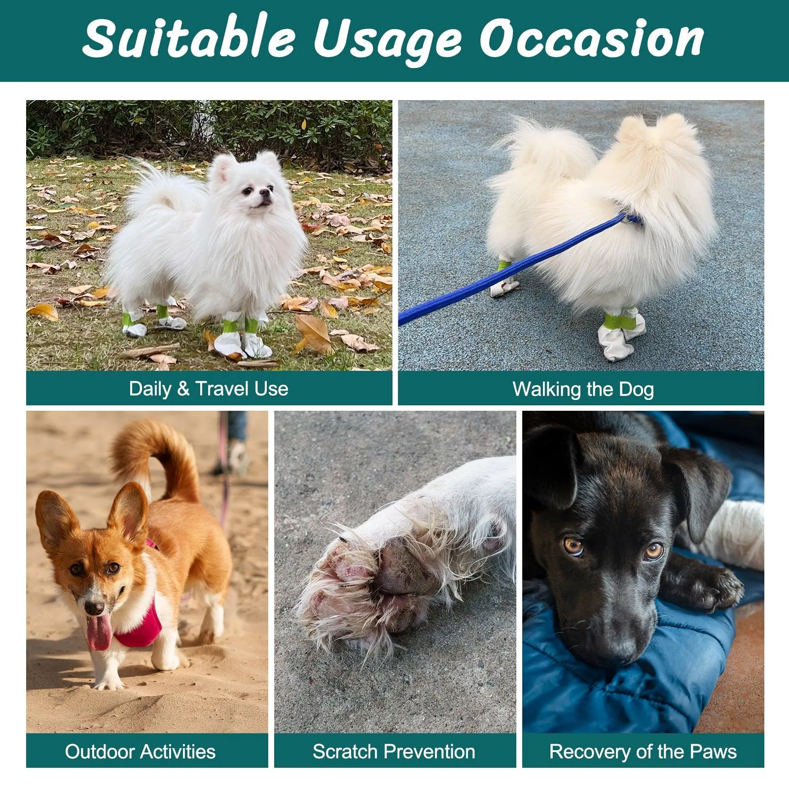 Disposable dog boots, keep your pet clean, waterproof outdoor, 1 Pack