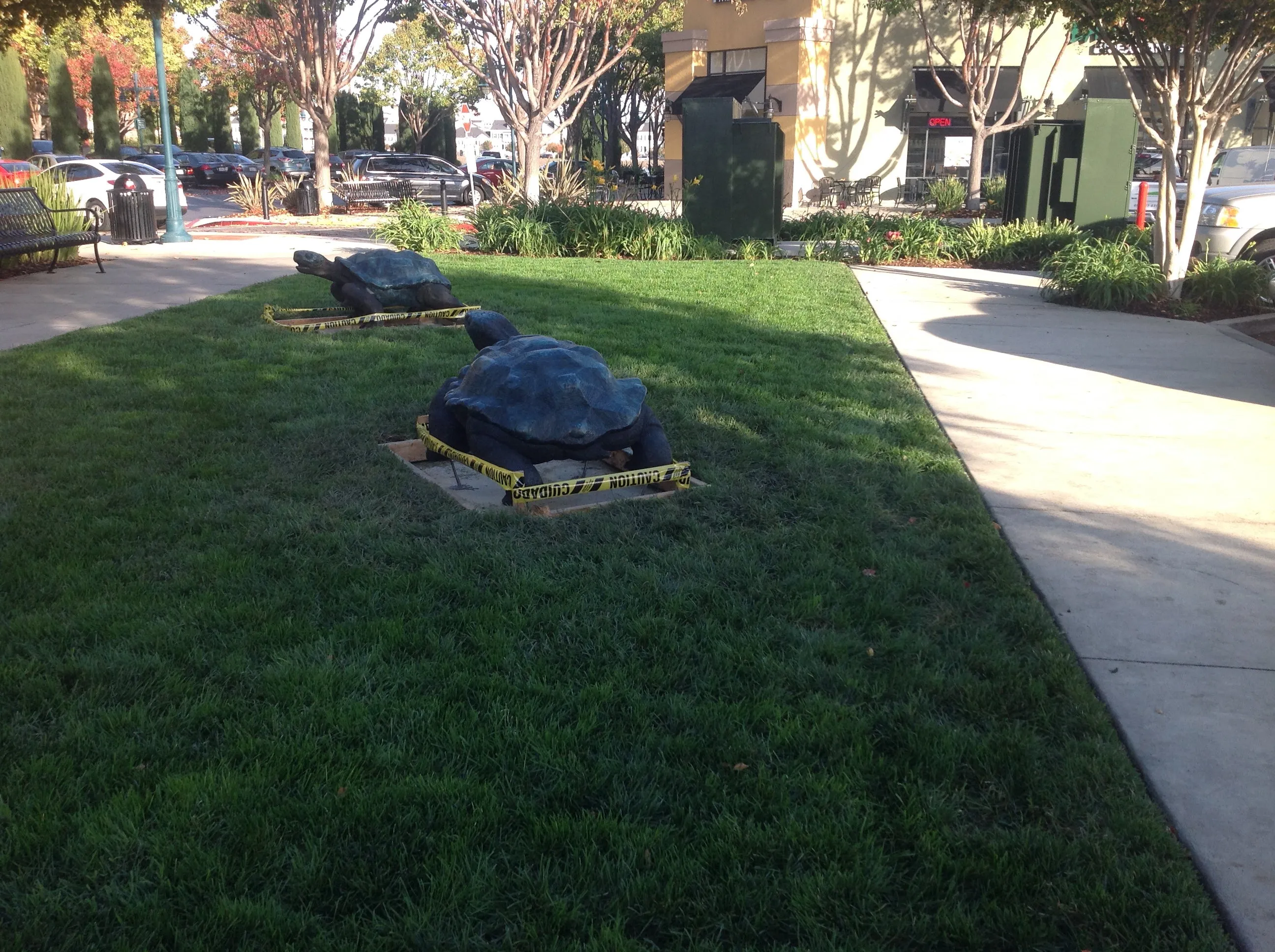 Large Standing Turtle Statue