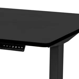 Standing Desk (Worksurface)