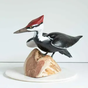 Standing Pileated Woodpecker