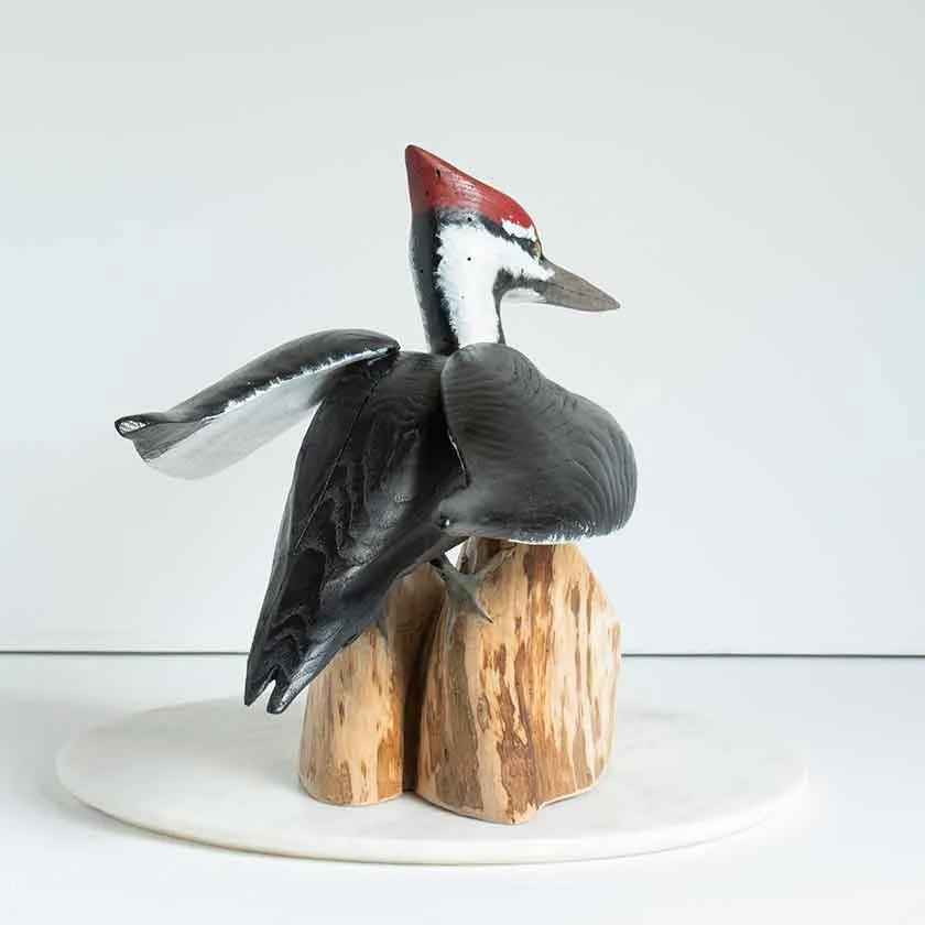 Standing Pileated Woodpecker
