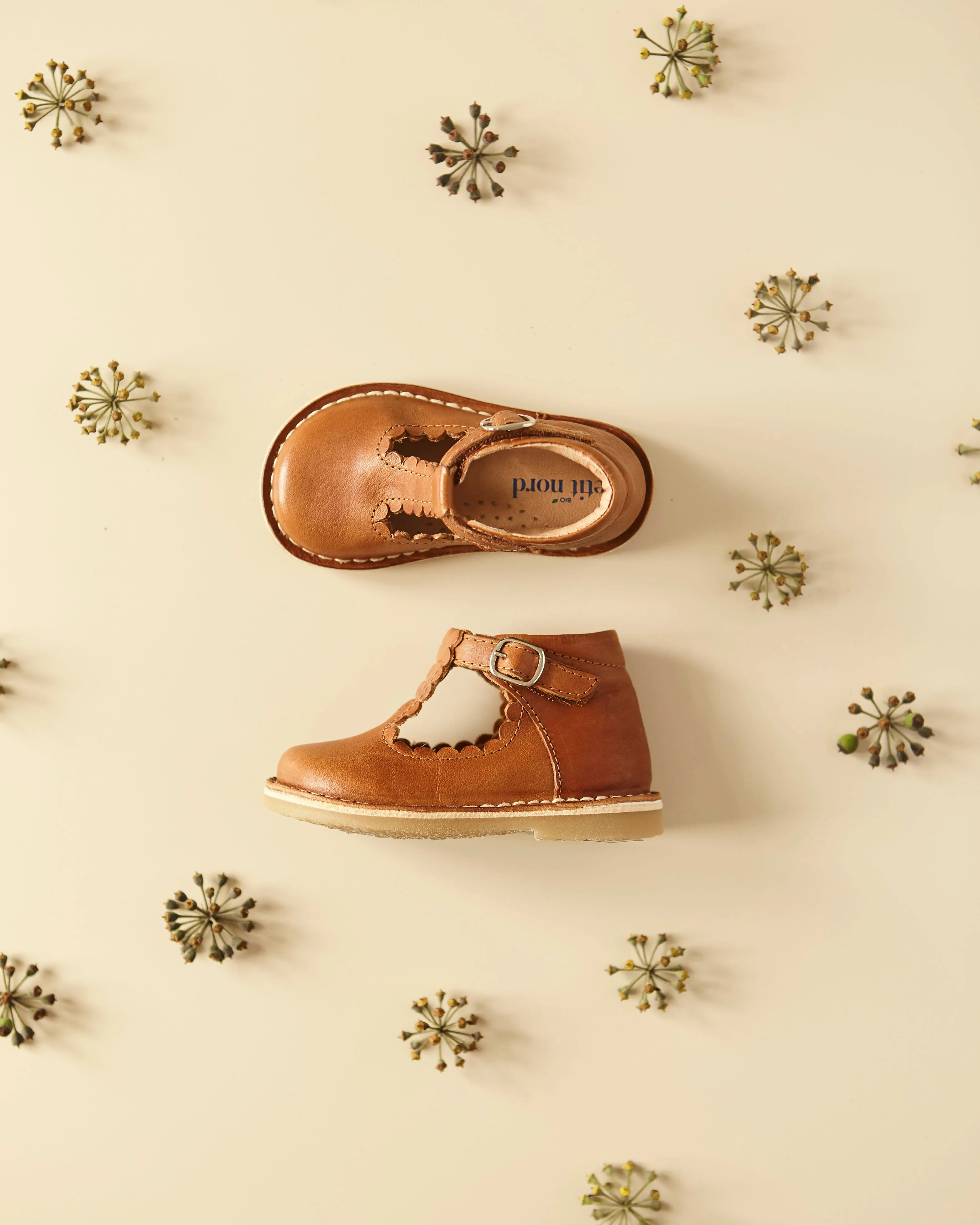 T-Bar Scallop - Cognac