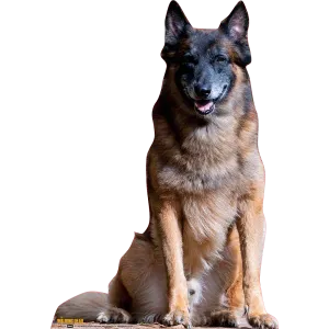 The Walking Dead Dog Cardboard Cut Out Standee