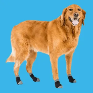 Walkee Paws Dog Liner Socks - 4 Sizes