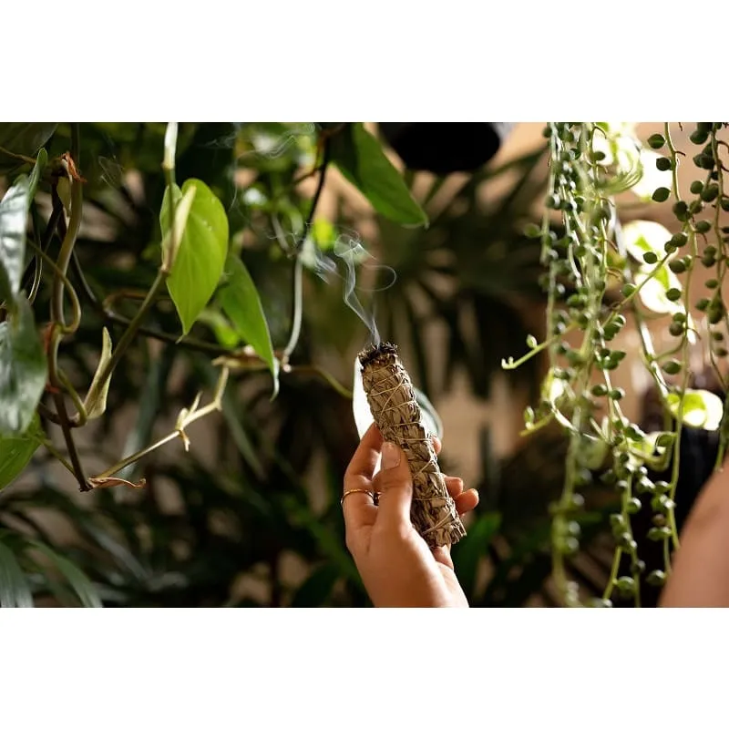 White Sage Smudge Stick